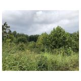 Tract 2: 7.8+/- acres