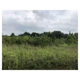 Tract 4:  41.5+/- acres