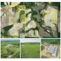 224 +/- Acre Irrigated Row Crop Farm - Coffee County