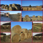 LATE FEB DODGE HAY & BEDDING - Dodge, WI